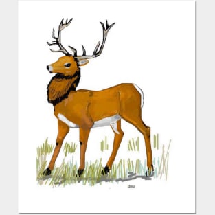 Stately Hart Deer Posters and Art